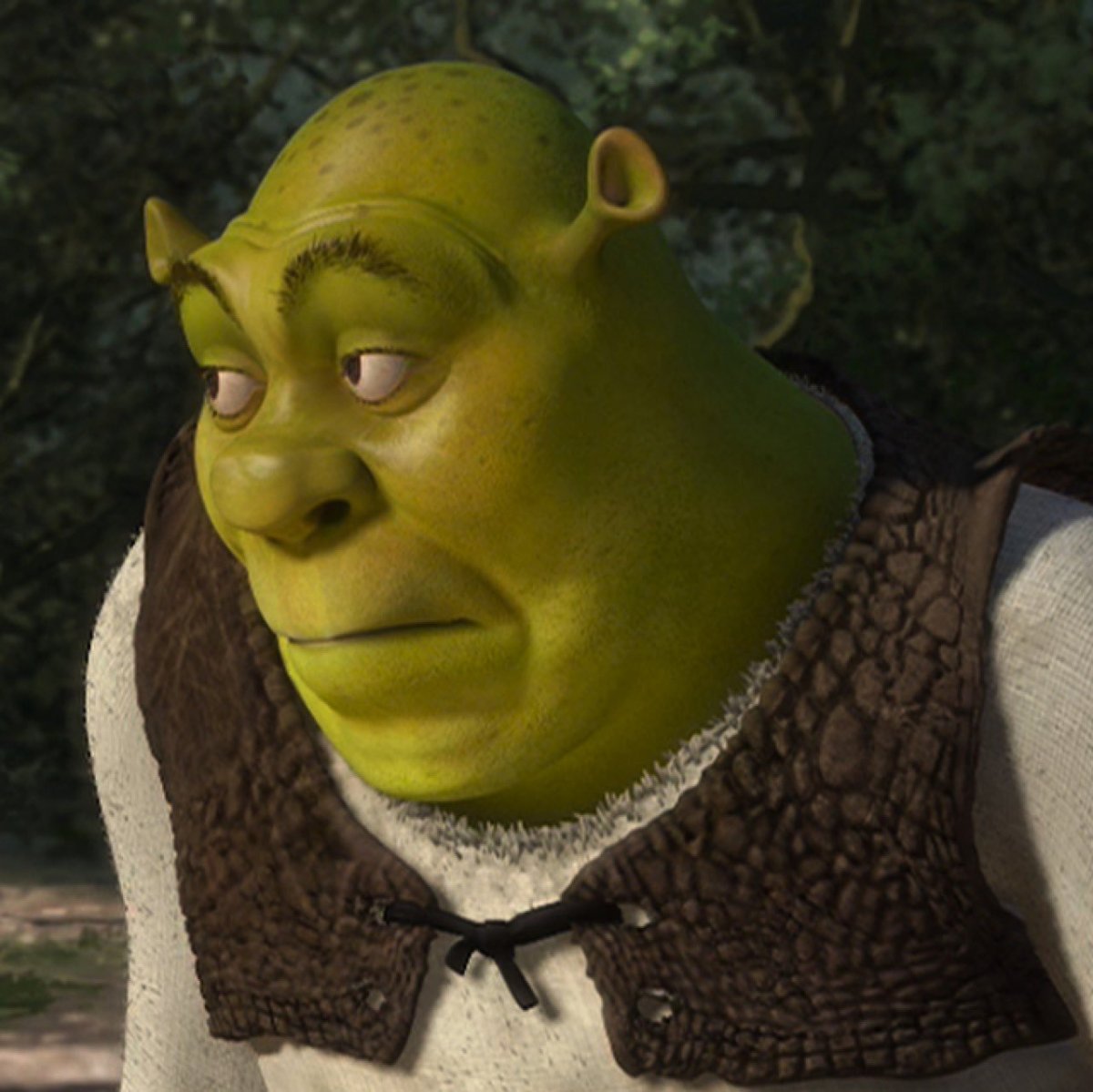 Шрек мемы
