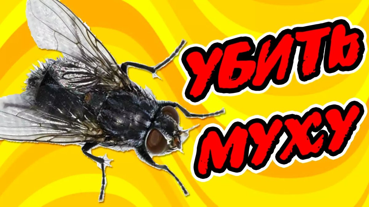 Fly Муха