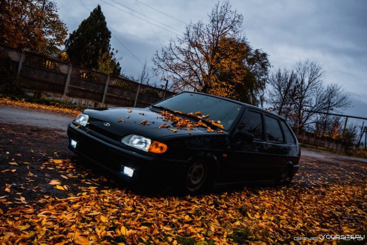 Машина 2114 черная тонированная