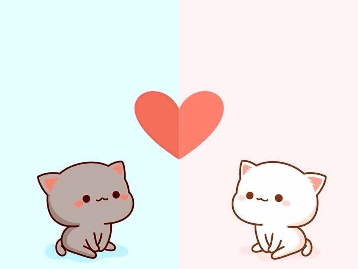 Кавайные котики парочка