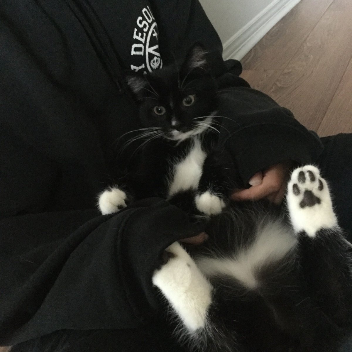 Парная аватарка для ЛП