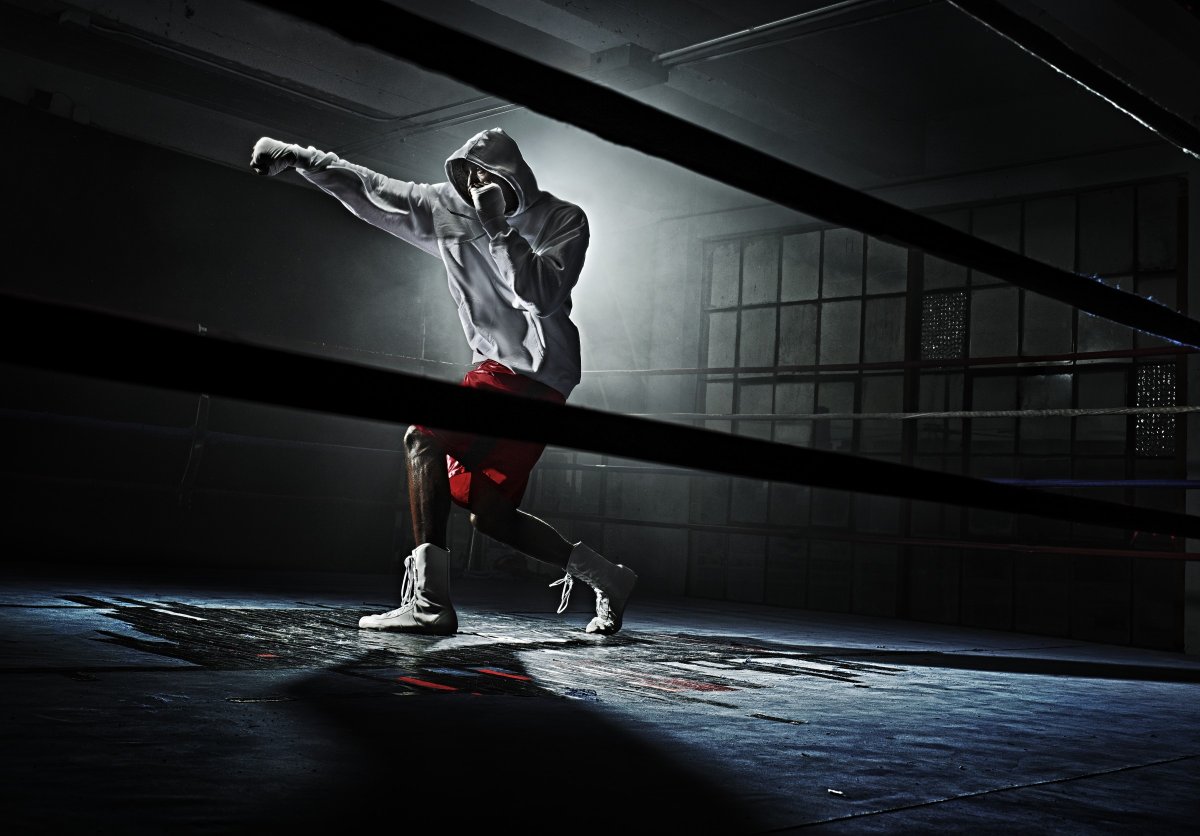 Каратэ киокушинкай силуэт