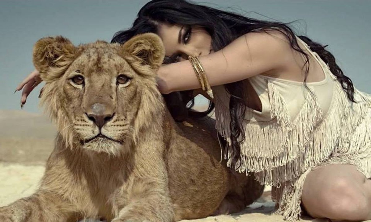 Картинки на рабочий стол львица