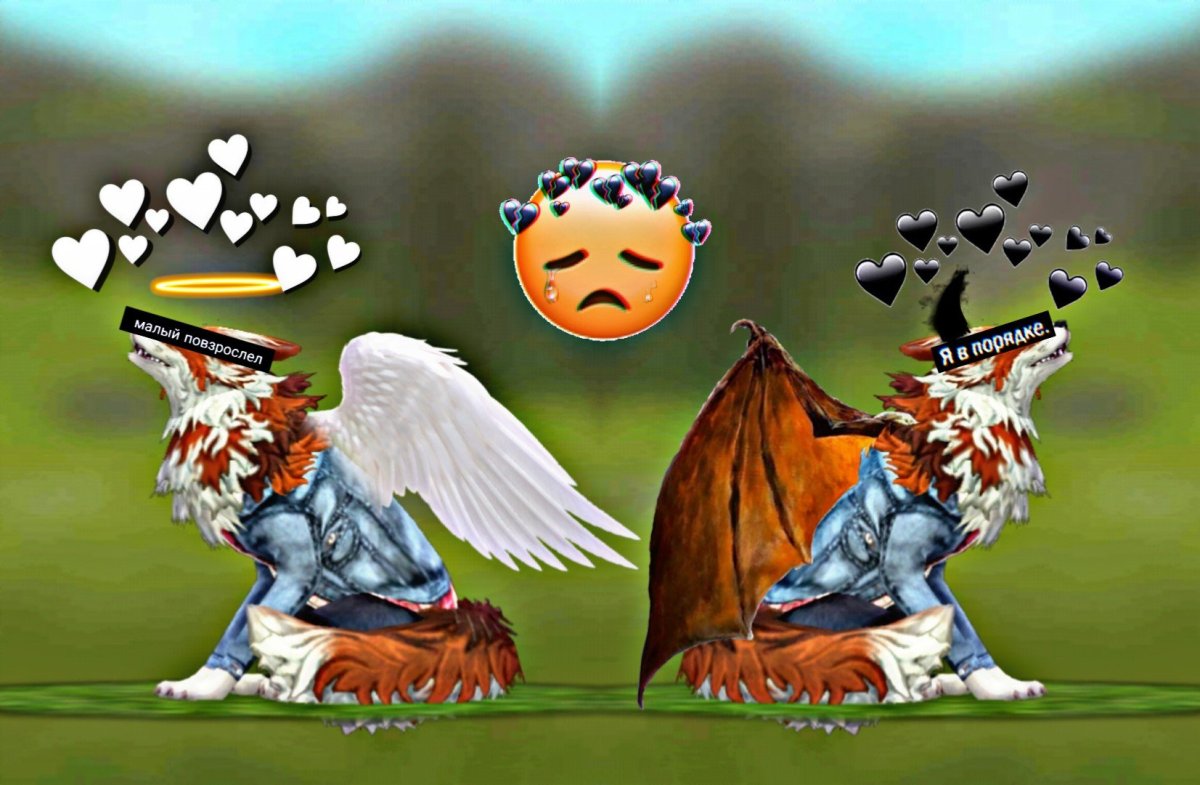 Вайлд крафт обработки