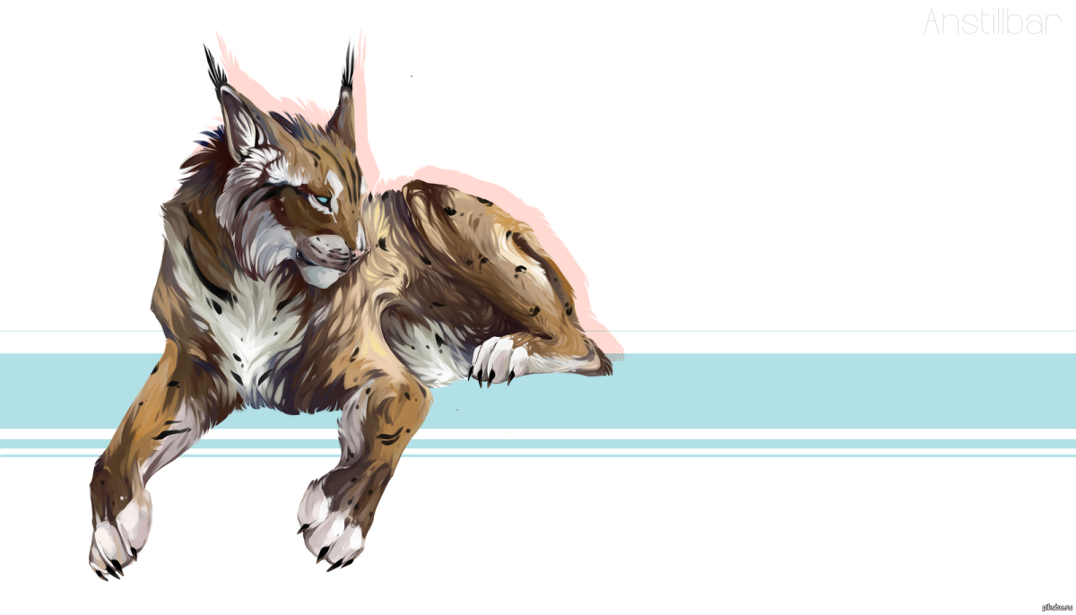 Фильга Фетч