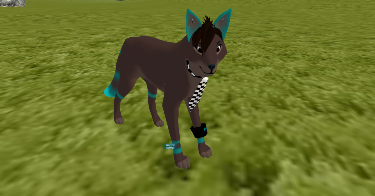 WILDCRAFT мистические скины мистические истории