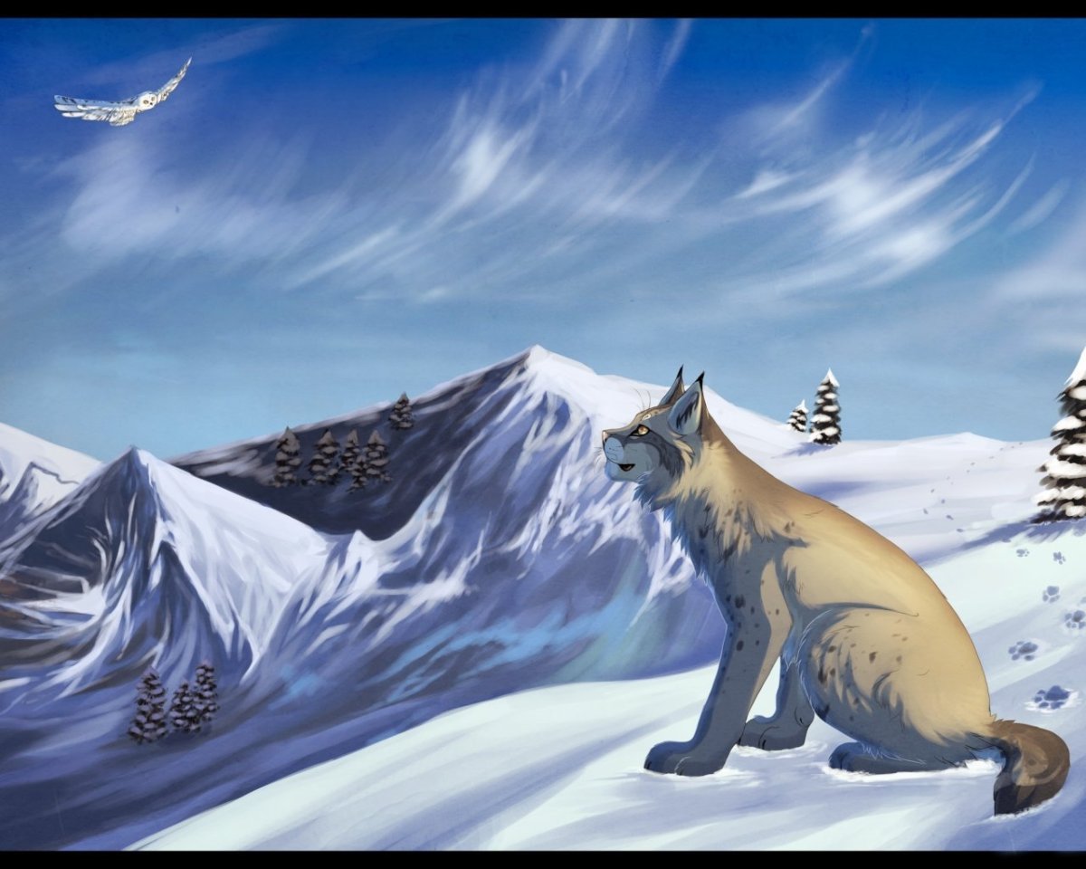 WILDCRAFT волк арт