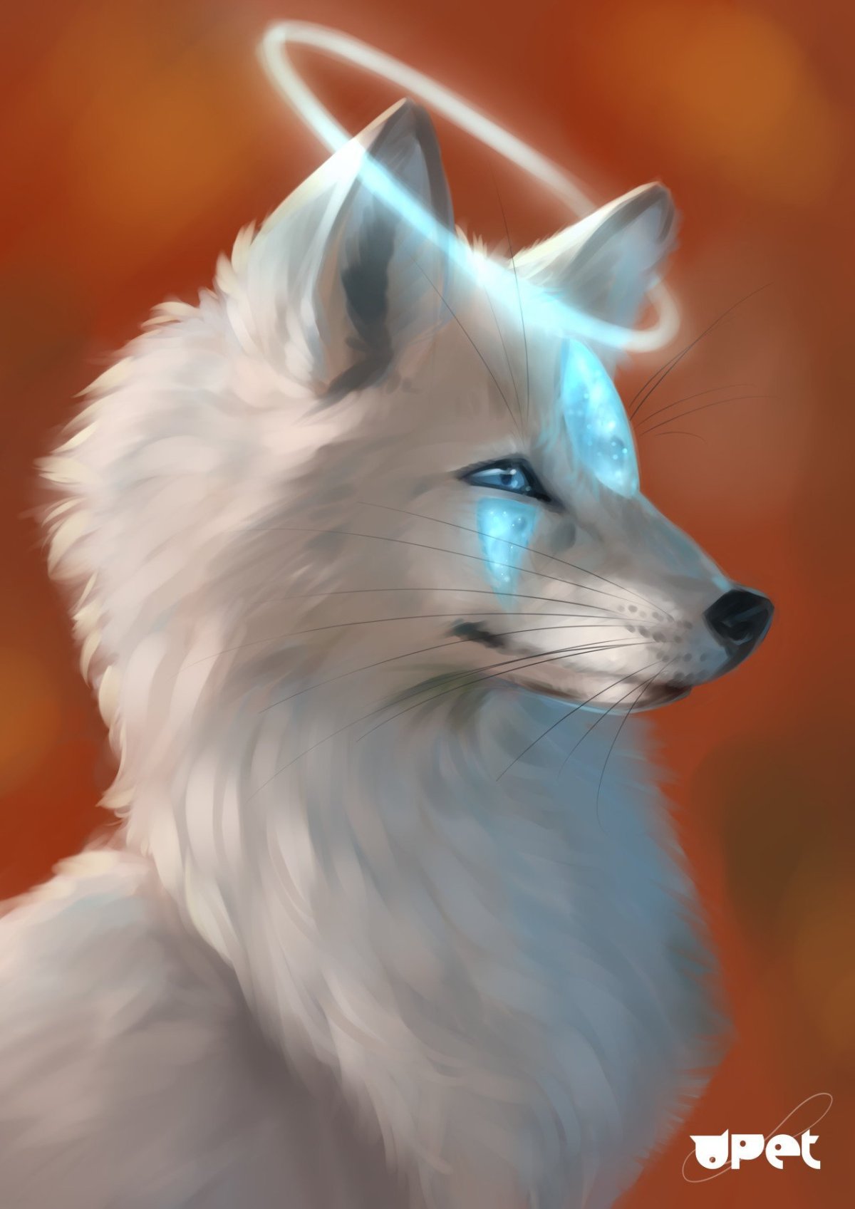 Вилд крафт арты