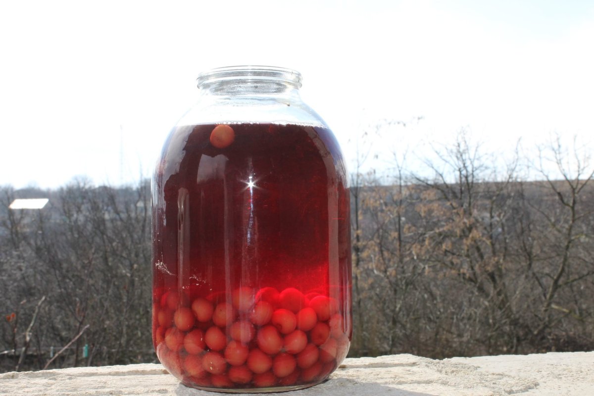 Роман компот в реальной жизни 2022