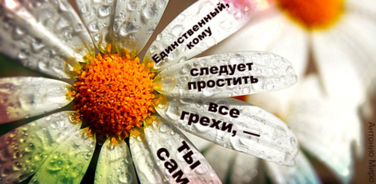 Открытки с философским смыслом