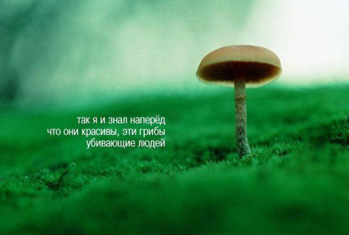 Высказывания с глубоким смыслом