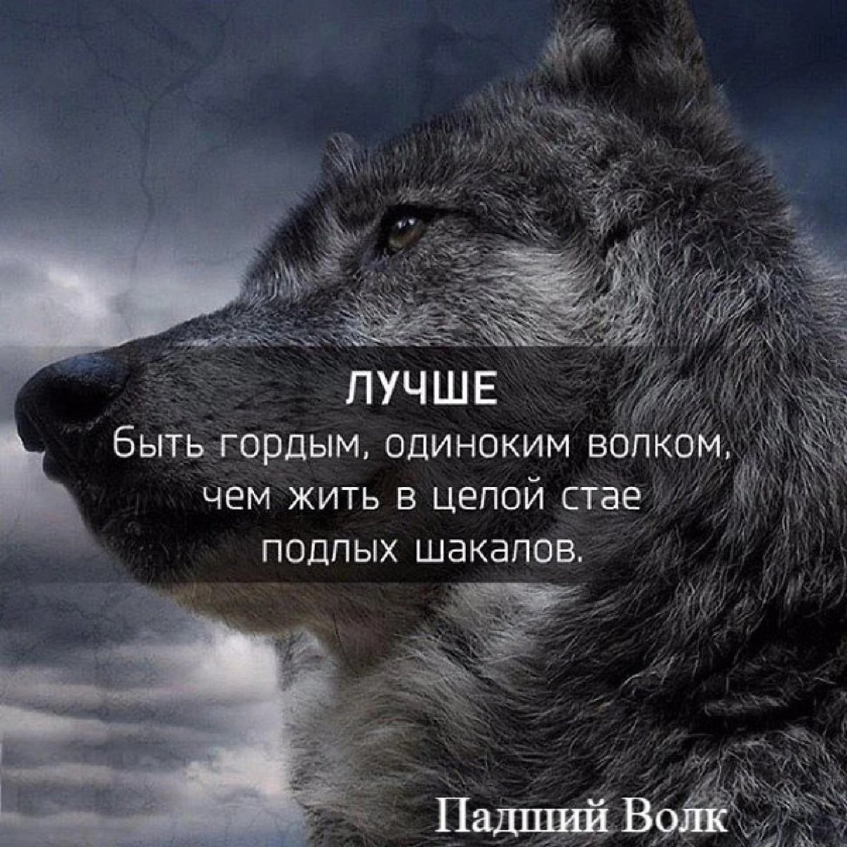 Аватарки про жизнь