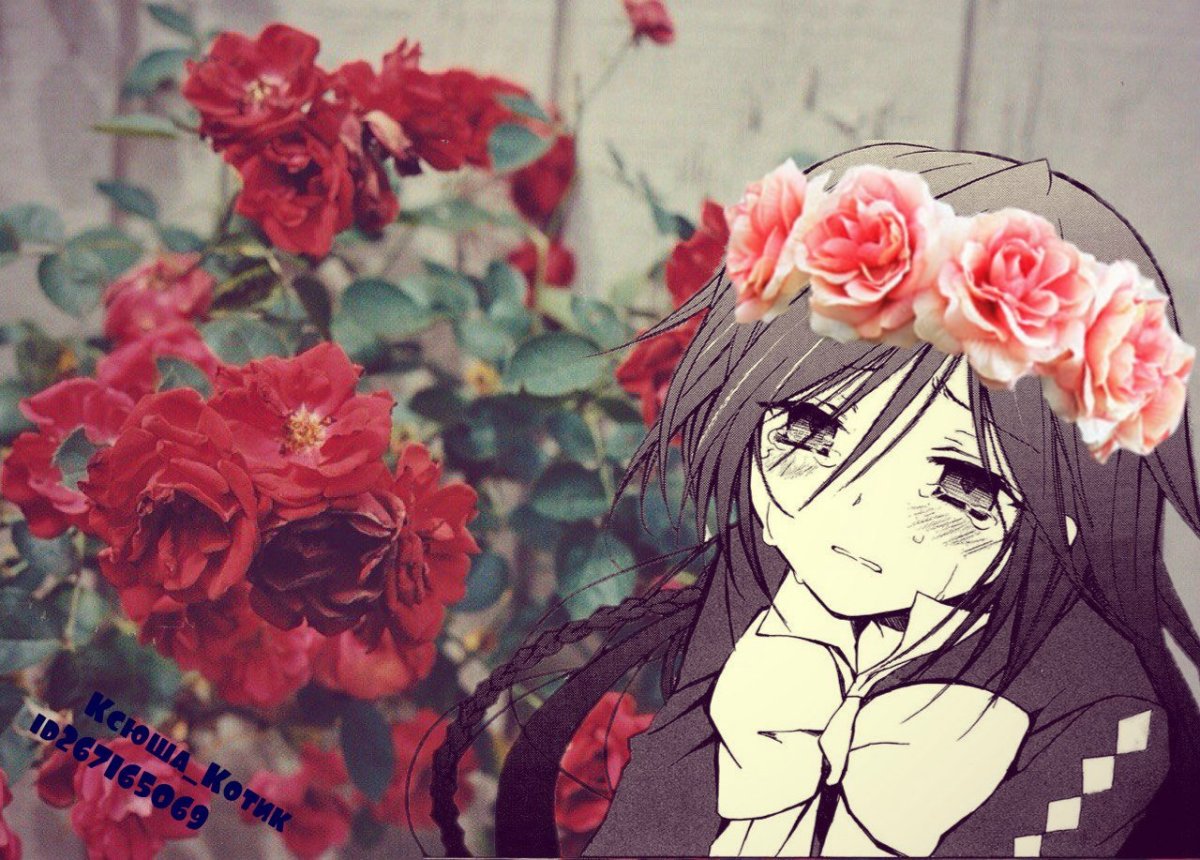 Аниме авы Эстетика