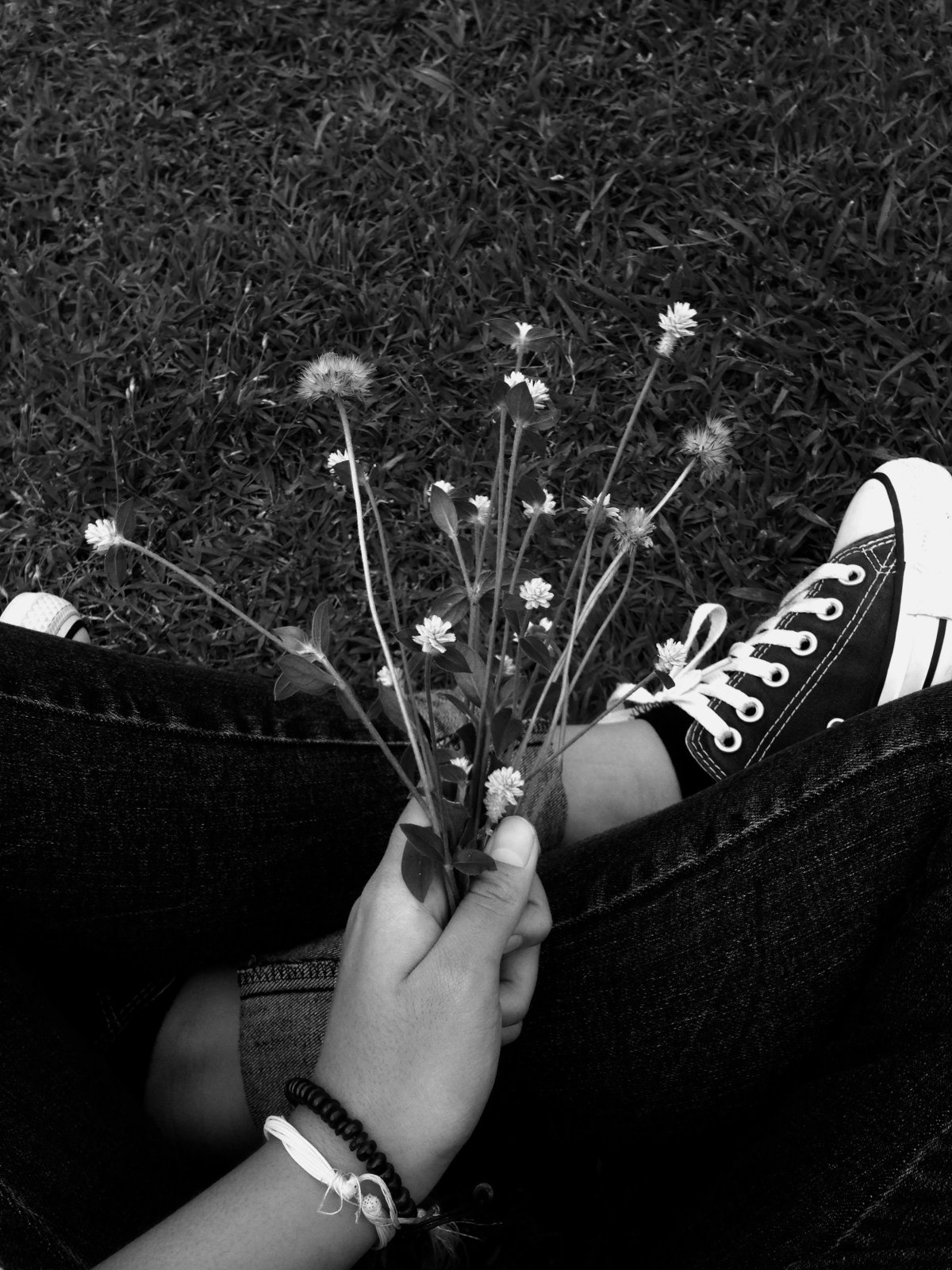 Морда черного кота