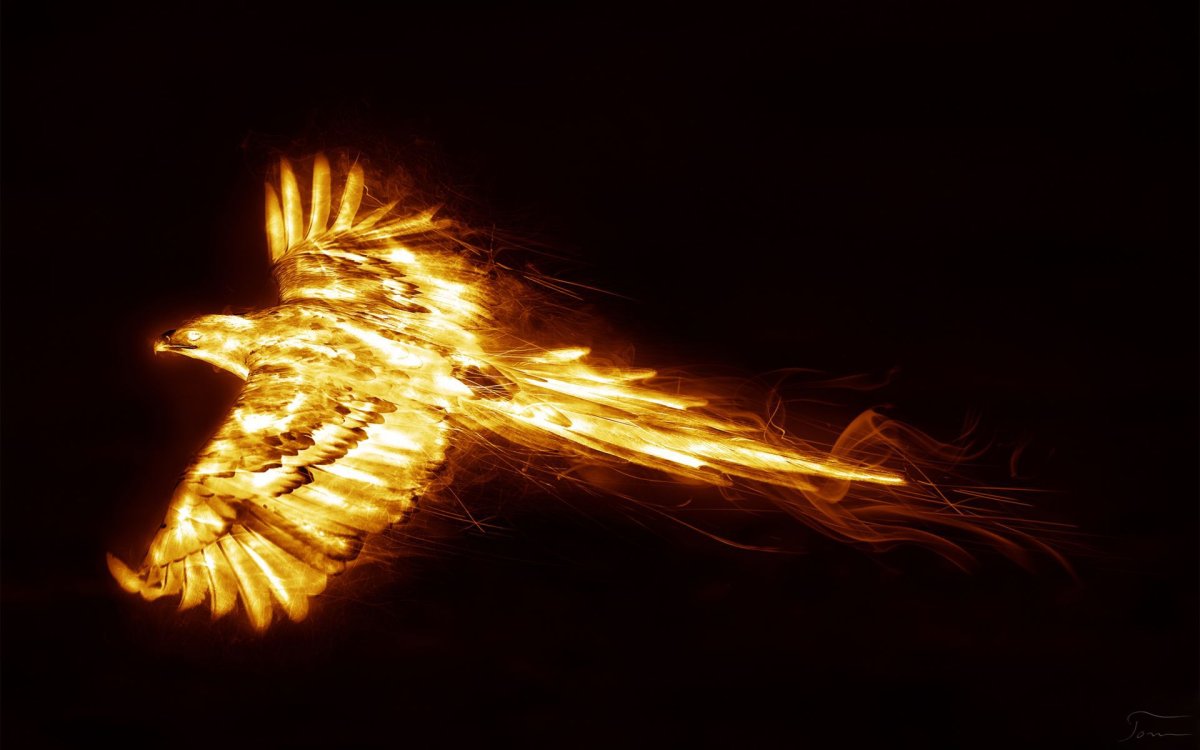 Красный Феникс