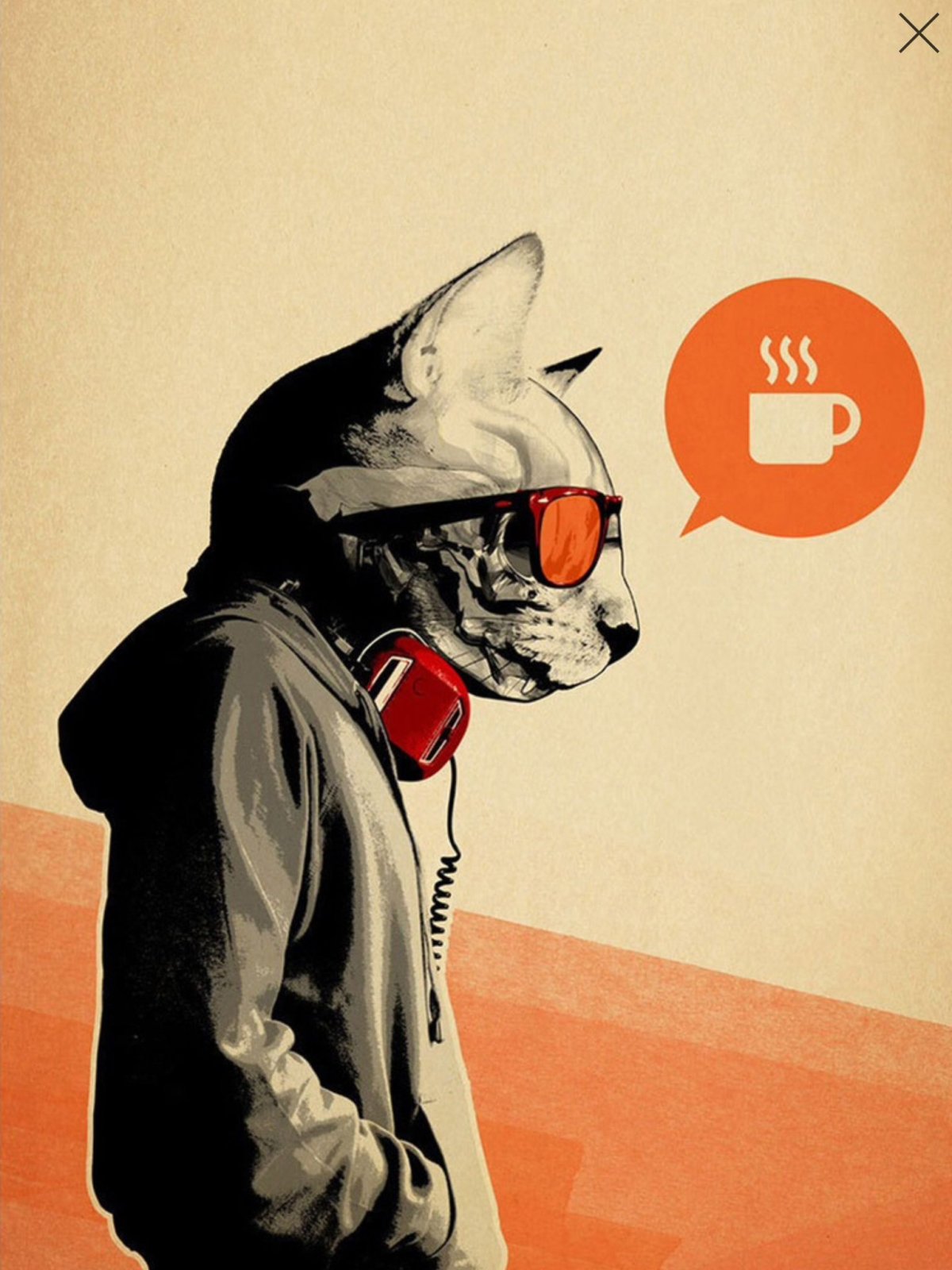 Коты Джотаро Куджо