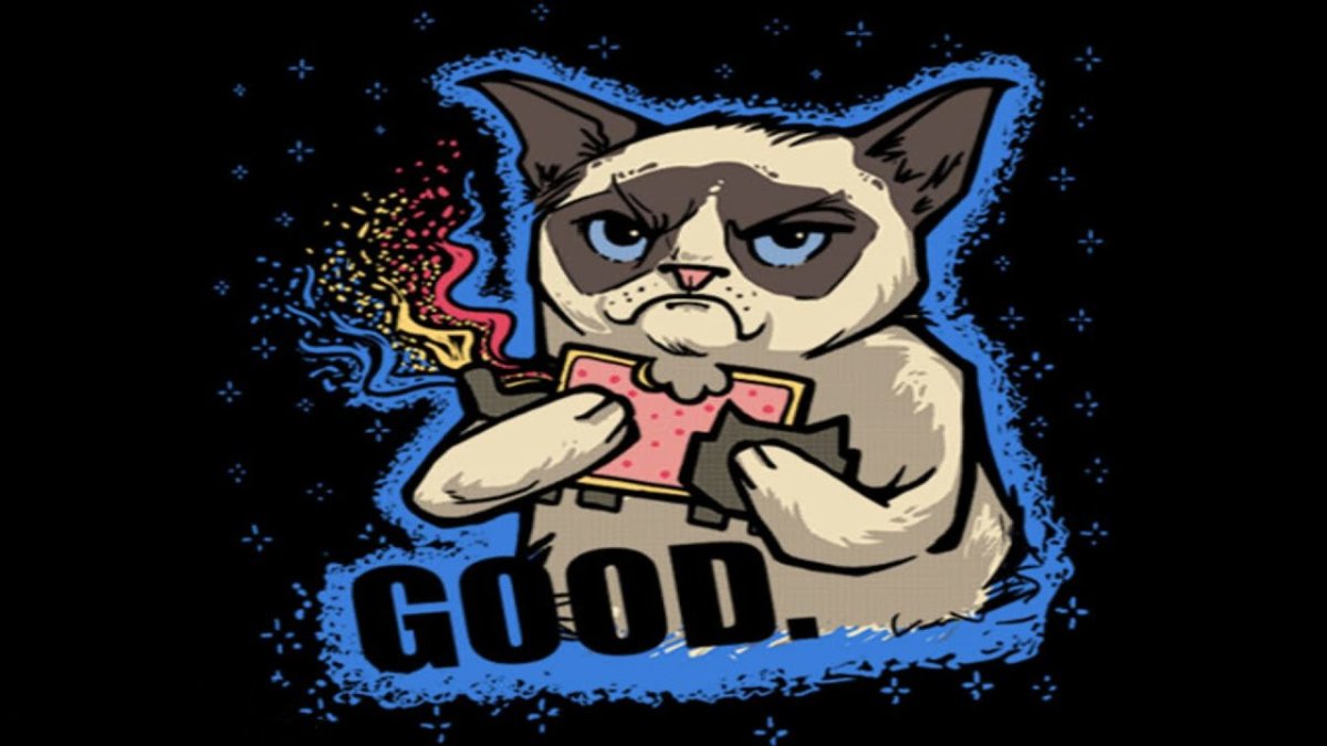 Кот в очках и наушниках