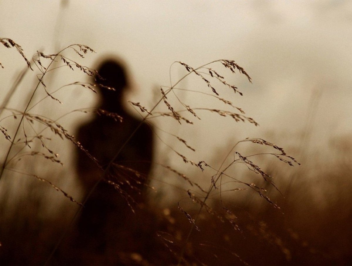 Аватарки для профиля