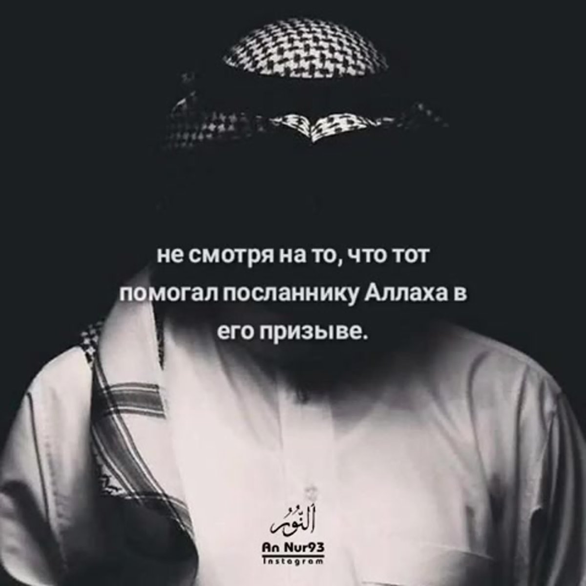 Новиков Амир Амирович