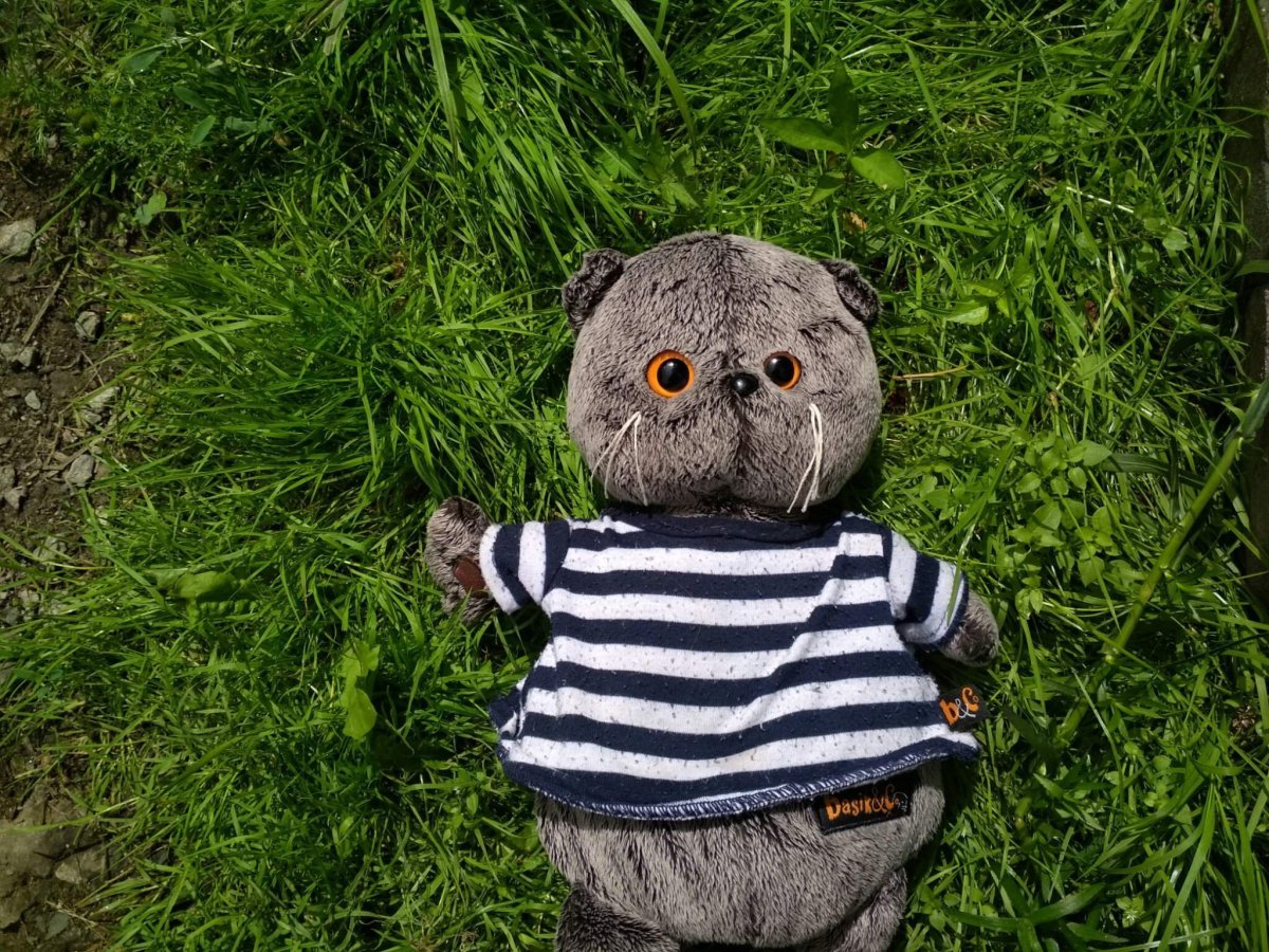 Игрушки Басик зайчики, котики