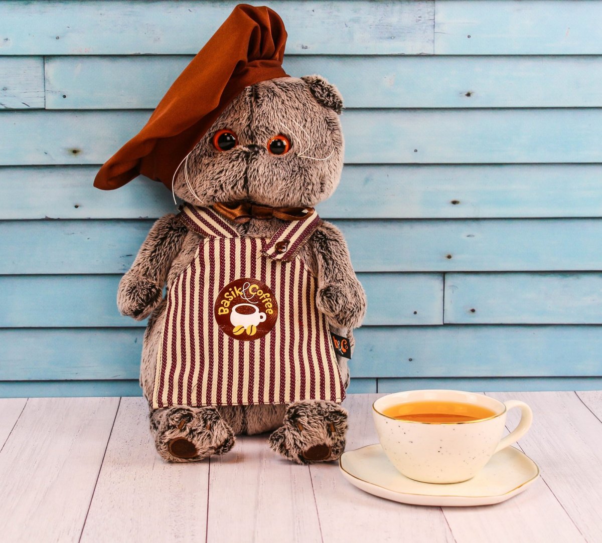 Кот в толстовке