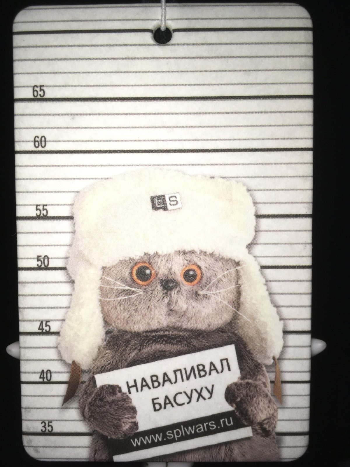 Одежда для маленьких Басиков