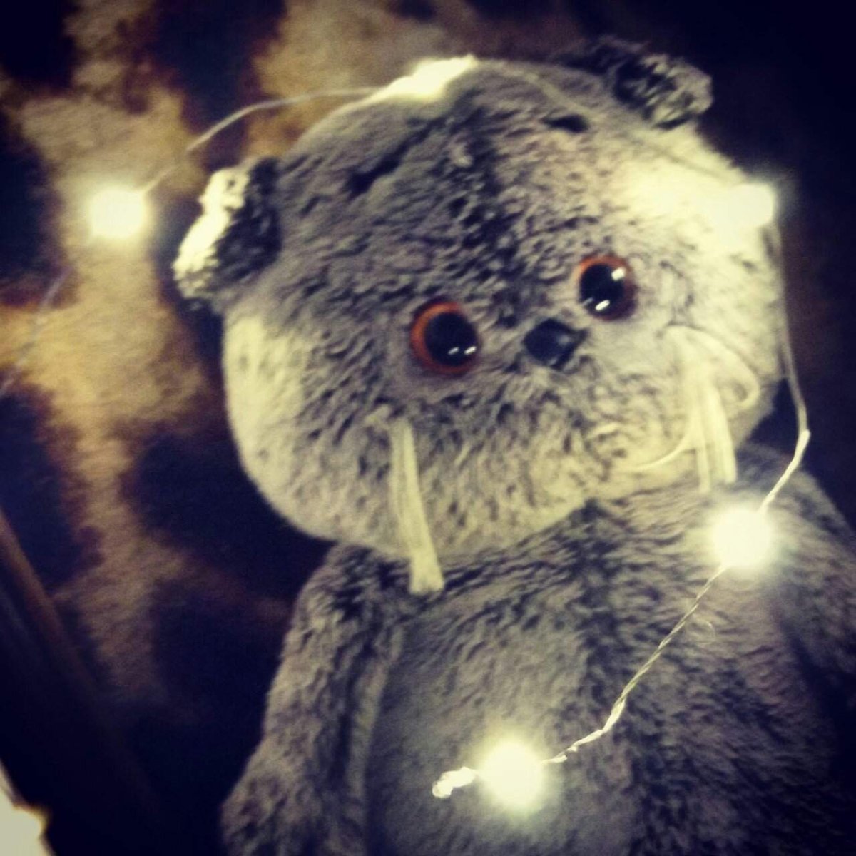 Басик Амино