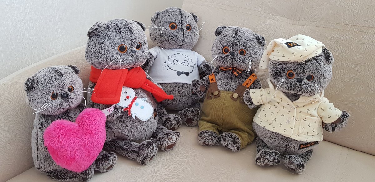 Кот Басик и Лили