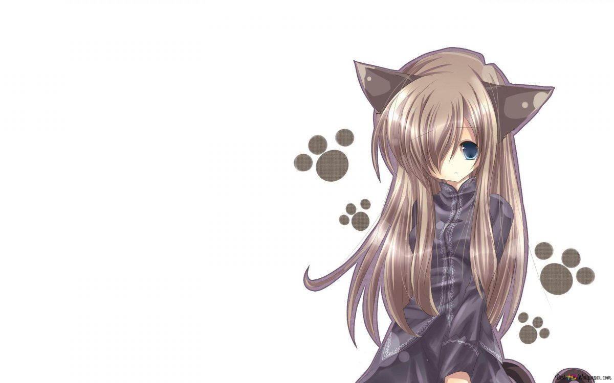 Неко Инумими