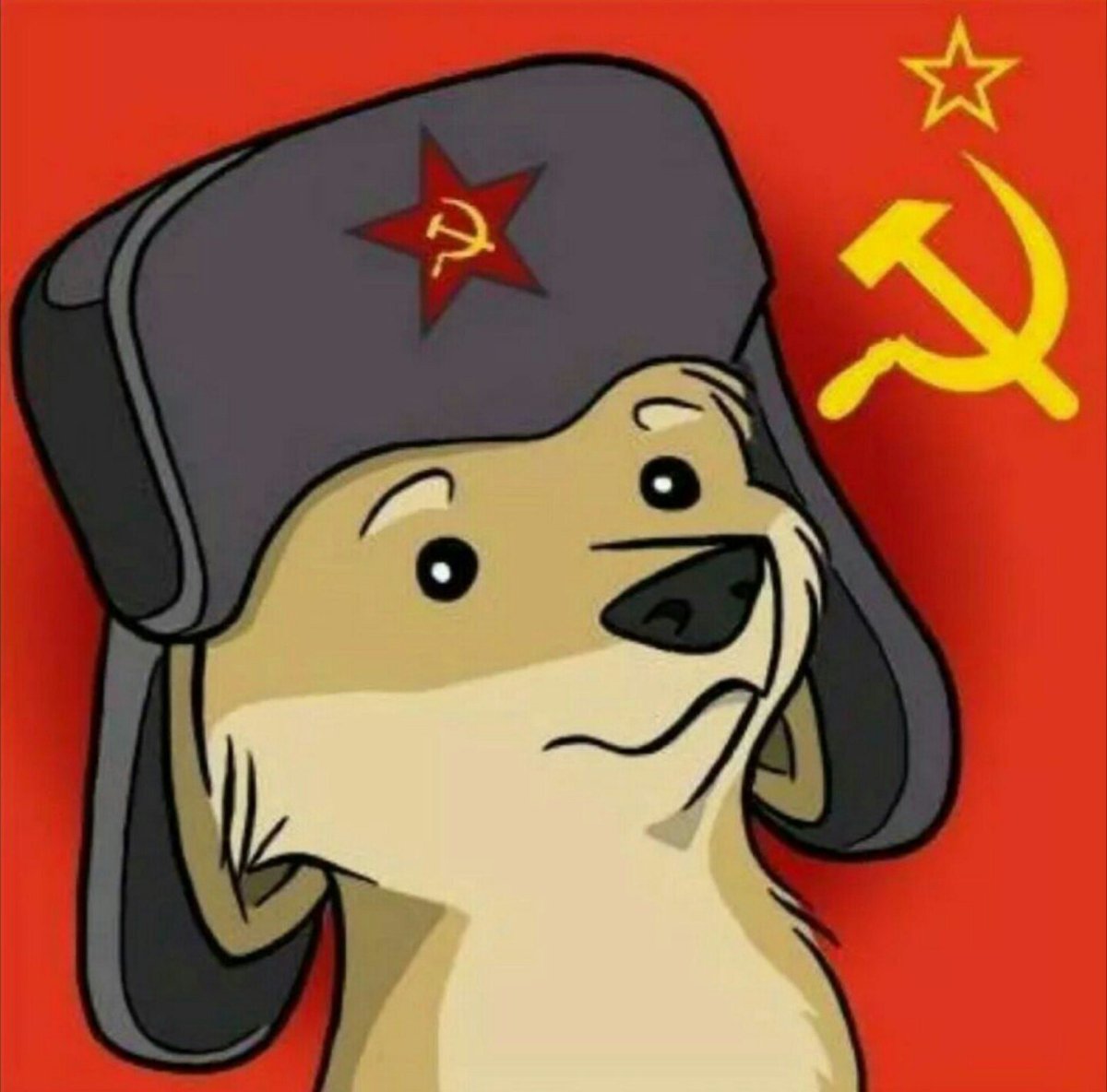 Собака в шапке ушанке