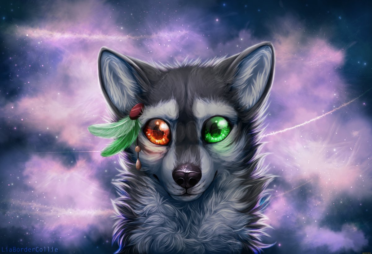 Леопард снежный Барс Ягуар