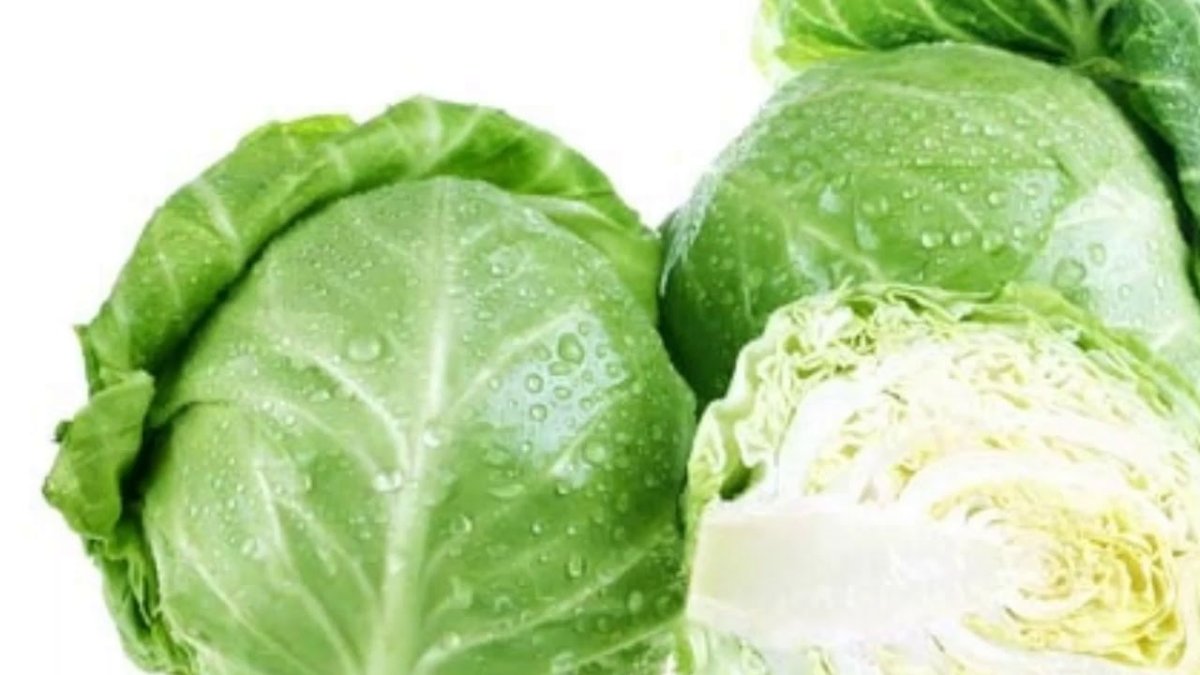 Гигантская капуста