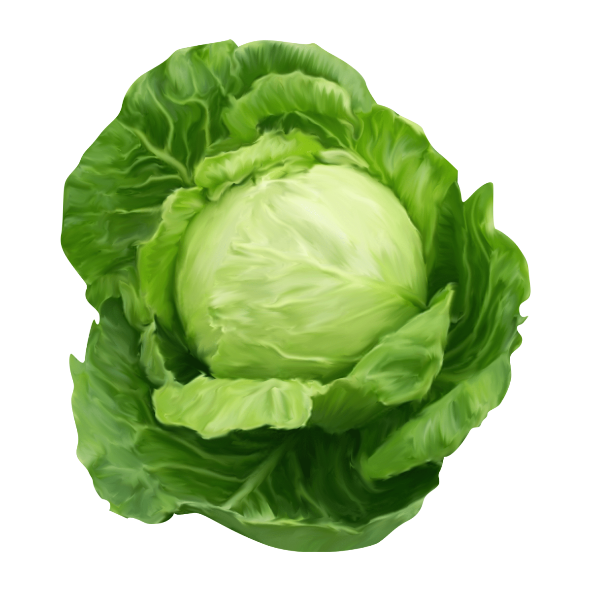 Капуста с глазками веселая