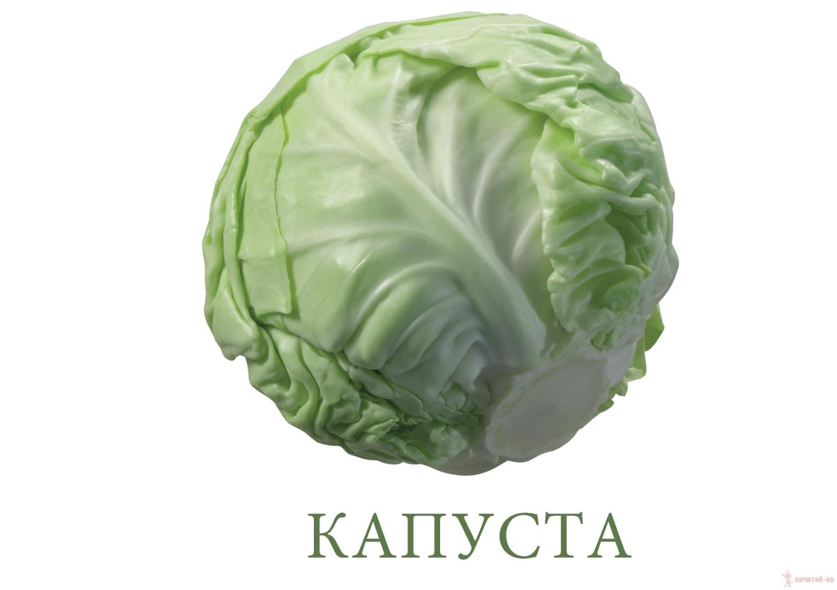 Карточки Домана капуста