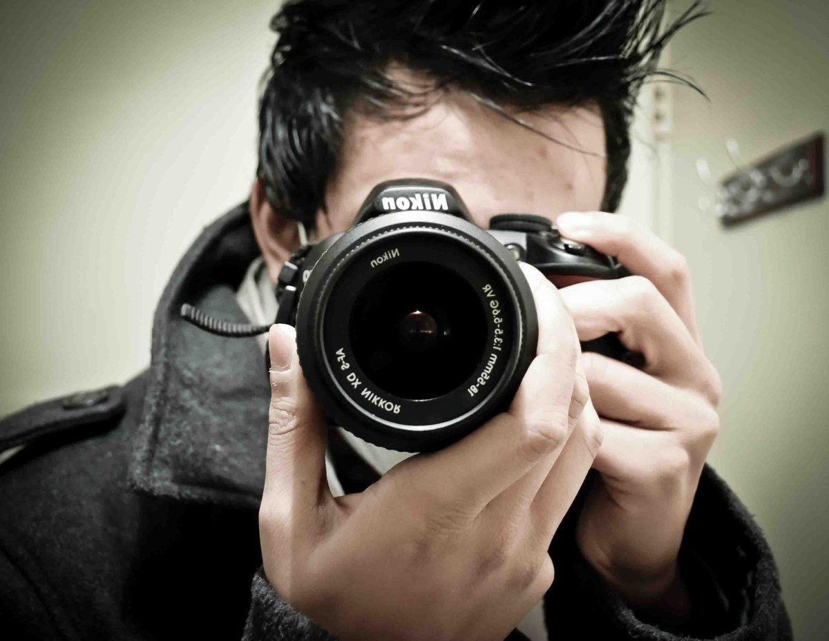 Светящиеся бабочки живые