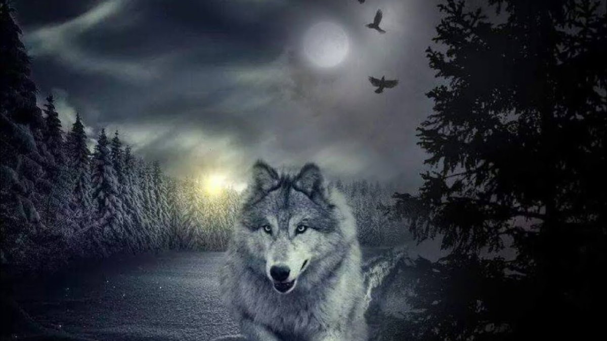 Аватарки для ватсапа со смыслом для мужчин