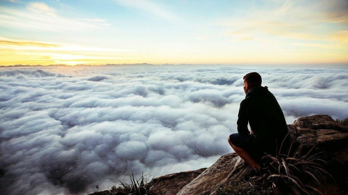 Женская рука с цветком