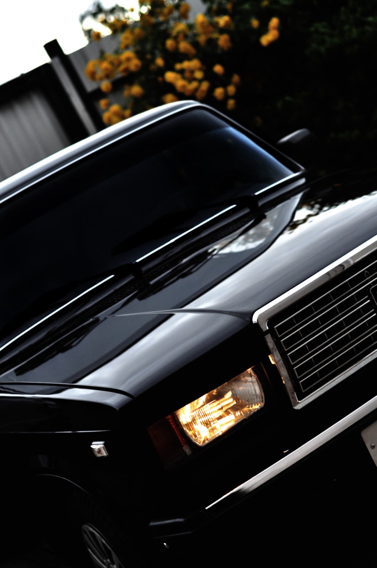 Герб на черном фоне