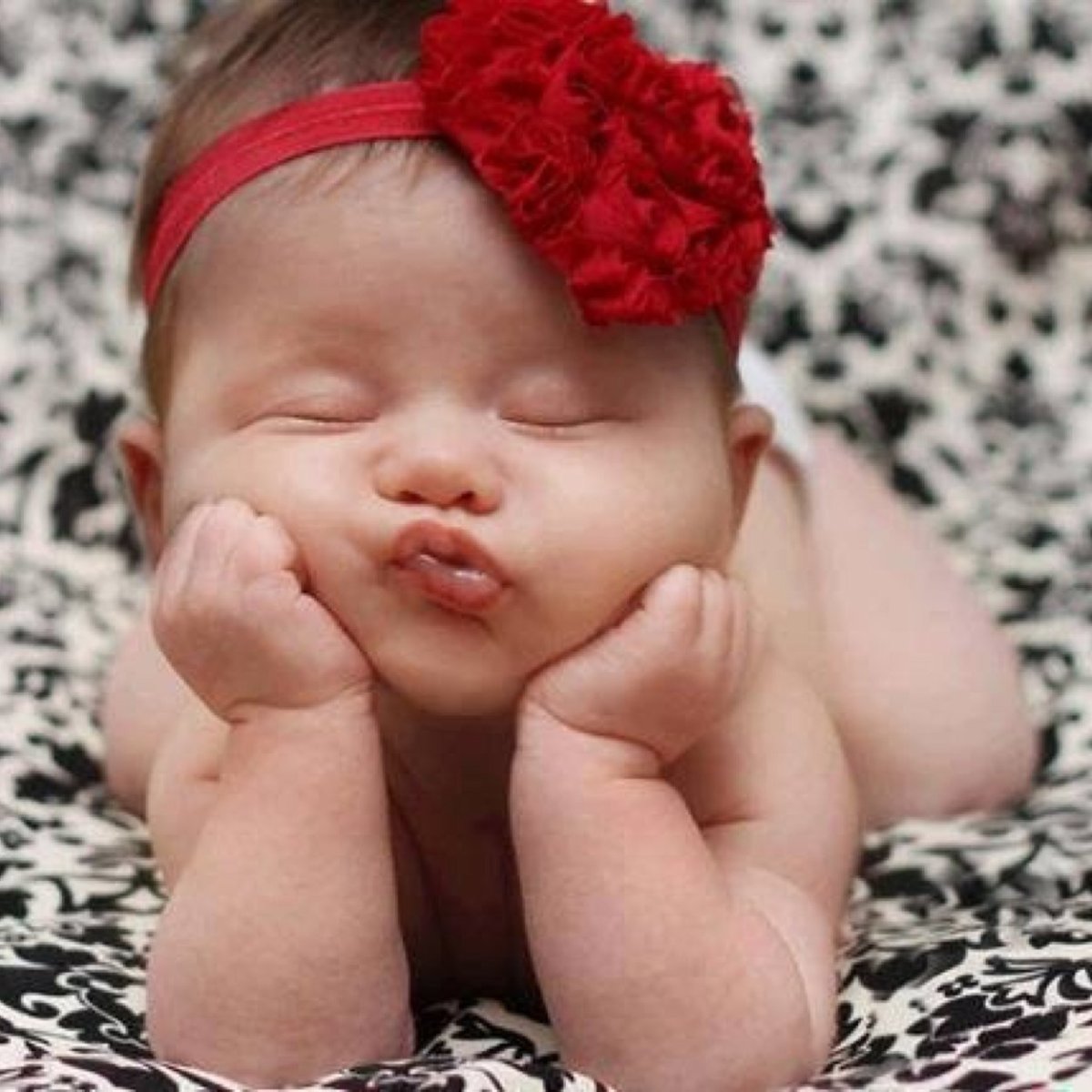 Четыре девушки мультяшные