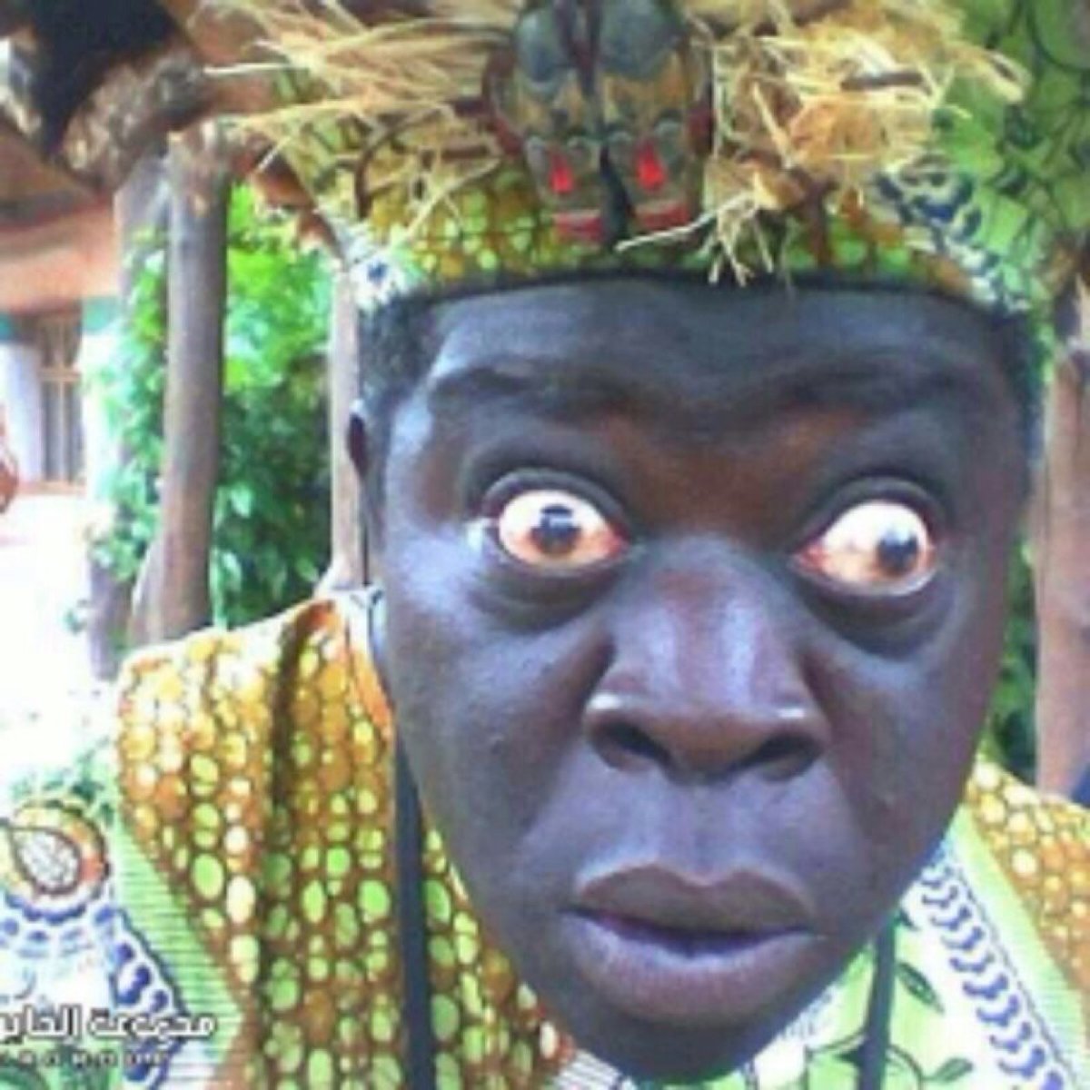 Ариана Анимоджи