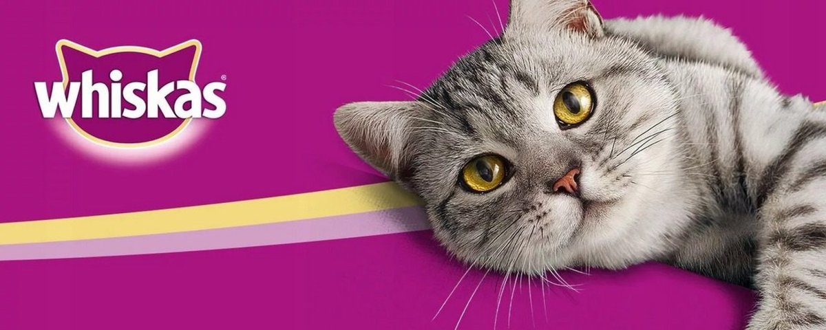 Реклама корма вискас