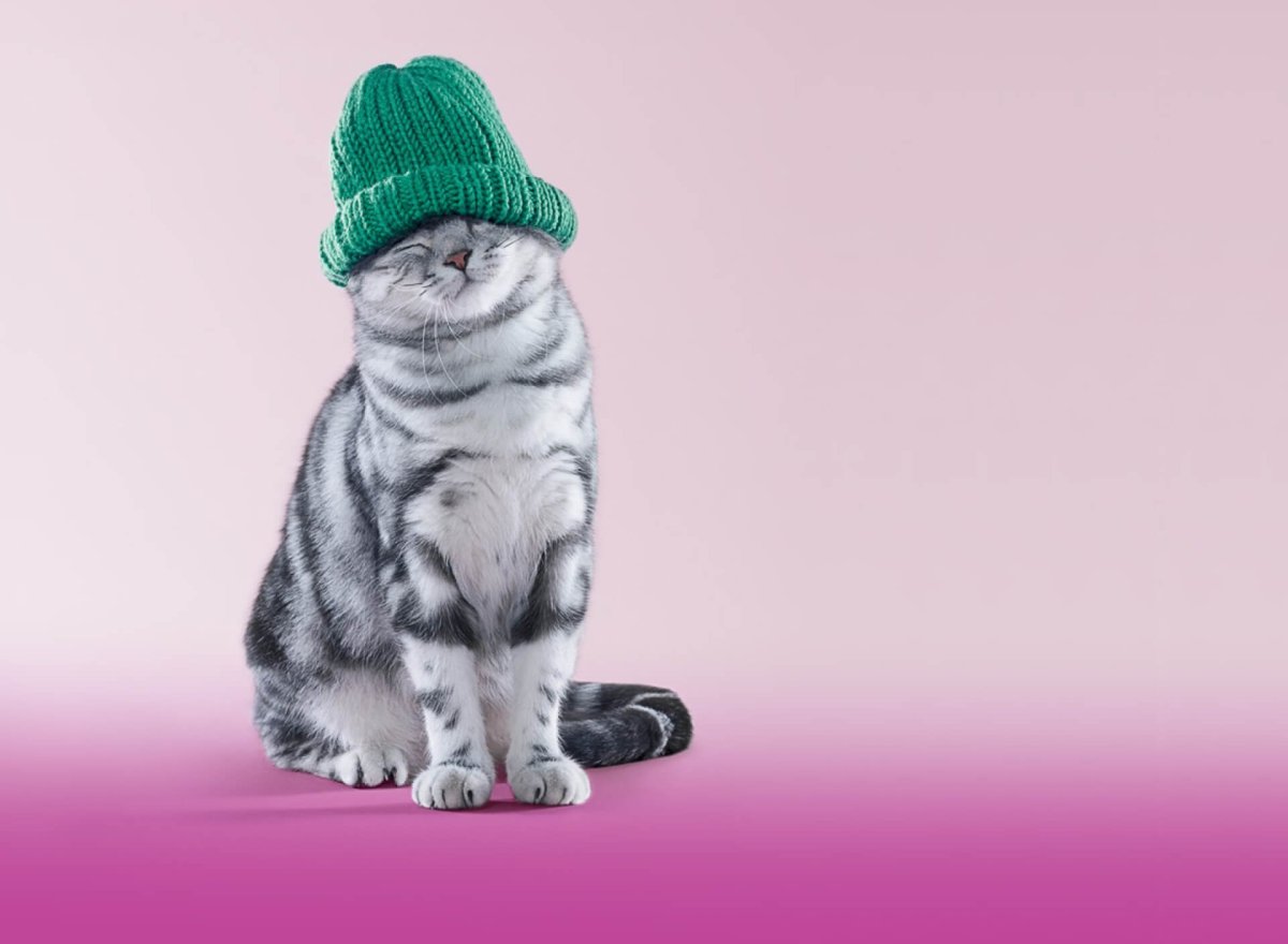 Реклама Вики