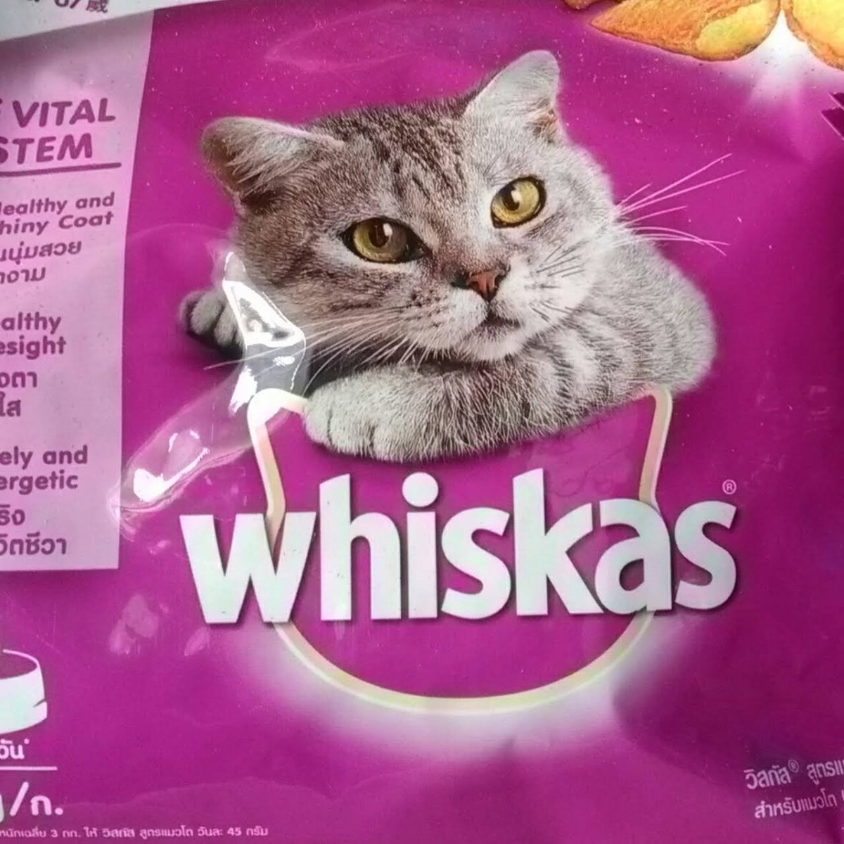 Новогодняя реклама вискас