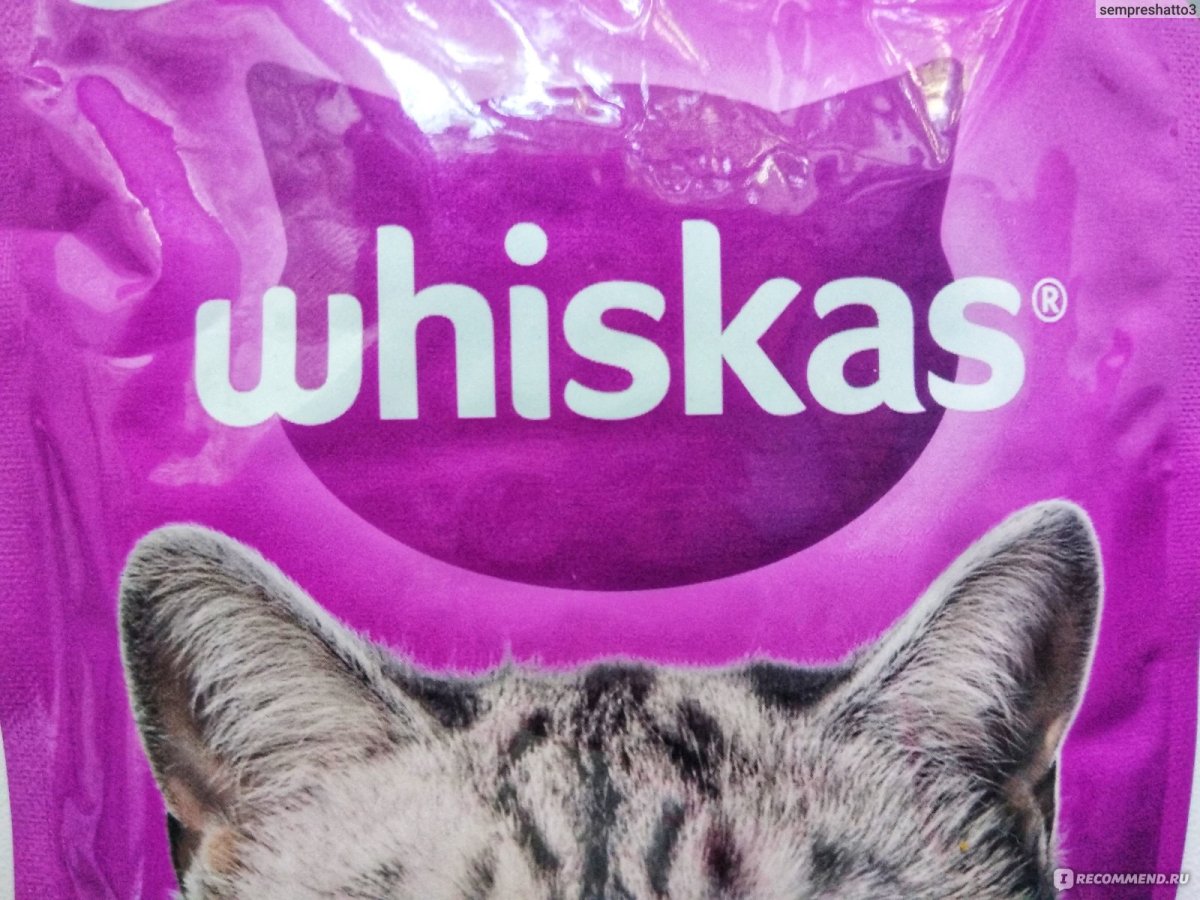 Золотой вискас