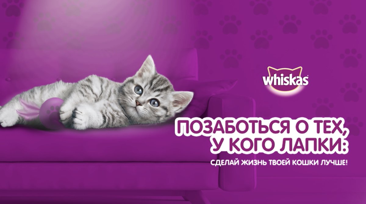 Whiskas реклама
