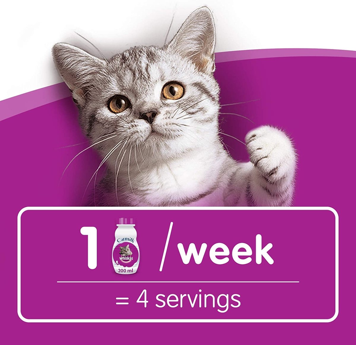 Котенок в зеленой шапке