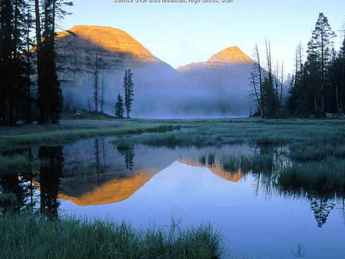 Картинки на аву природа