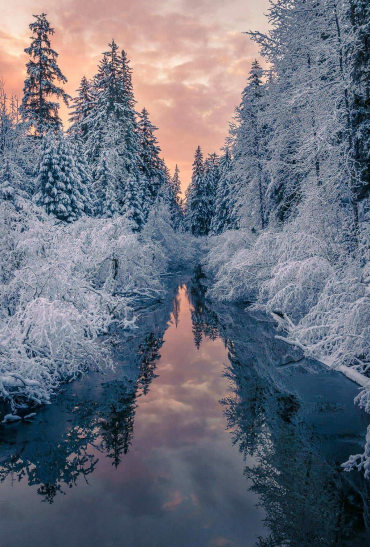 Красивые картинки на аватарку природа