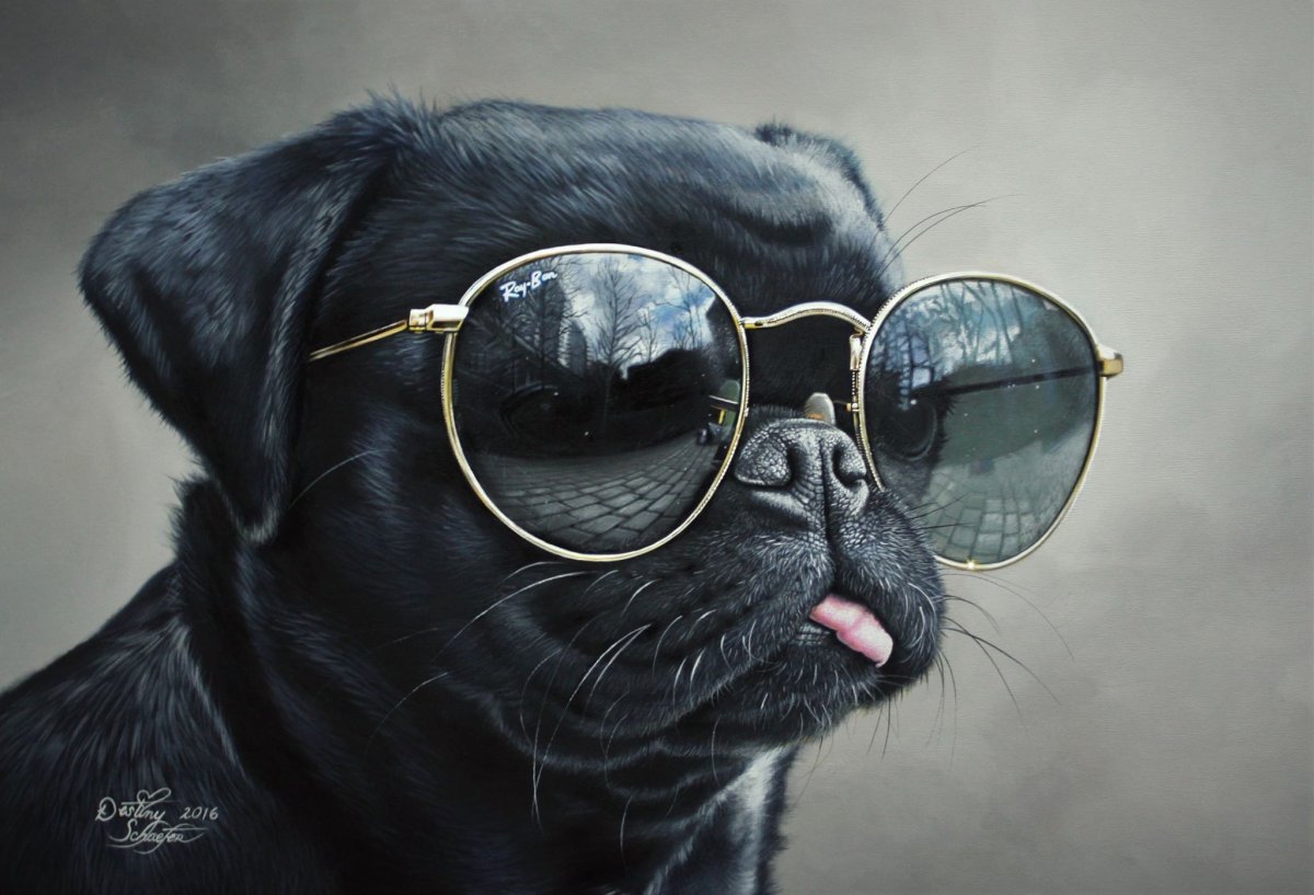 Собака в кепке и очках