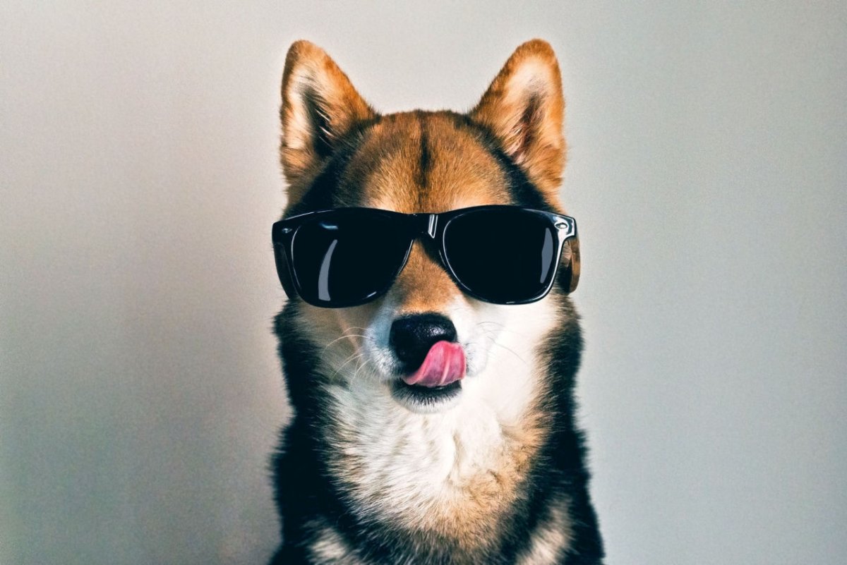 Двойные аватарки